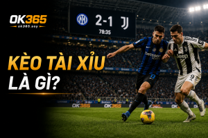 Tìm hiểu về Kèo Tài Xỉu là gì